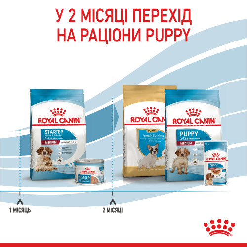Сухий корм для новонароджених собак середніх порід  ROYAL CANIN MEDIUM STARTER (домашня птиця), 1 кг